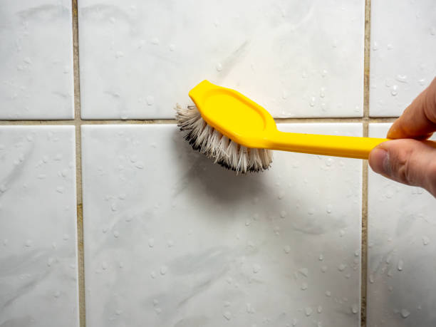 Best Commercial Mold Removal  in Marianna, FL